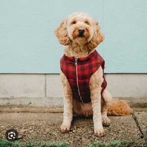 Lucy & Co Reversible Dog Puffer Coat - Buffalo Plaid Check